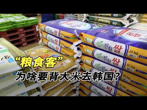 “糧食客”背大米去韓國，韓國米價暴漲，真的吃不起大米了？