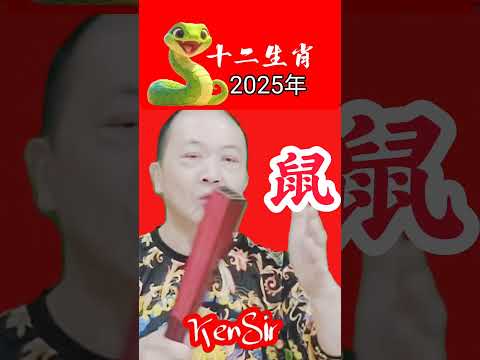 🐍#老鼠 #十二生肖 #2025 #KenSir #電話號碼昇運 #chill #china #astrology  #chineseastrology