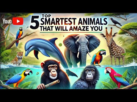 "Top 5 Smartest Animals That Will Amaze You | Intelligent Creatures of the World"