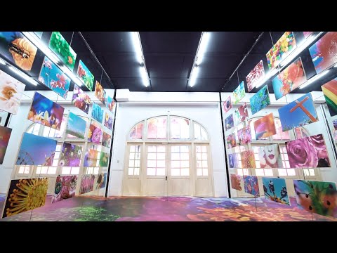 【Mika Ninagawa】MOCA Taipei