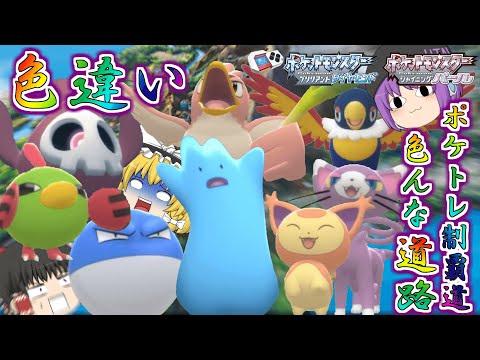 【ポケモンBDSP】色々大量発生したから色違い欲しい…じゃあついでに218・221・222・224番道路の色違いポケトレで全部ゲットしちゃお♡【ゆっくり実況】