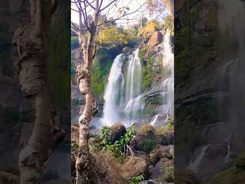 Assambeauty♥️😍Bhelughatwaterfall😍#shortvideo #assam #waterfall #nature #naturelovers #viralvideo