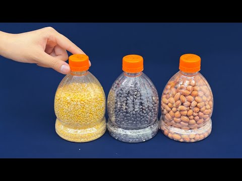 6 Plastic Bottle Recycling Ideas You Wish You Had Known Sooner. EASY HOME HACKS 2024