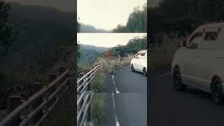 Japanese monke with poor roadside manner 『Yakushima, Japan』