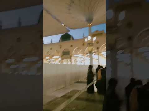 #madina #ytshorts #viralshorts2024 #youtubeshorts #saudiarabia #religion #airport #viral