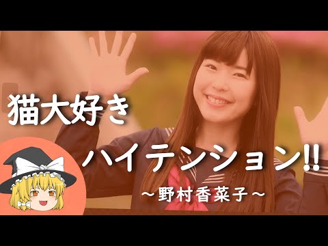 【野村香菜子ヒストリー】すぐに詳しくなる動画