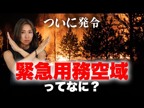 【ついに発令？！】緊急用務空域ってなに？【ソラエモン学校】