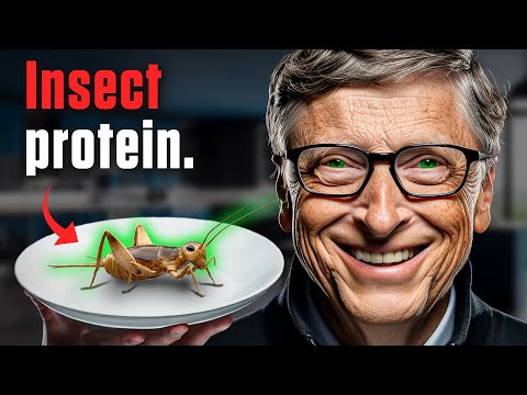 This is what Bill Gates wants you to eat.