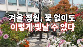 누구나 쉽게 따라 하는 예쁜 겨울 정원 꾸미기! 꽃 없이도 LED 조명과 감각적인 디테일로 따뜻하고 화려한 정원을 완성하세요.