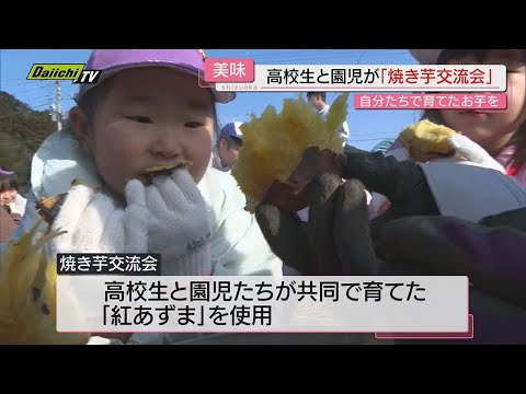 【焼き芋交流会】｢農作物育てる魅力伝えたい…｣高校生と園児が共同で育てたサツマイモを堪能(静岡･南伊豆町)