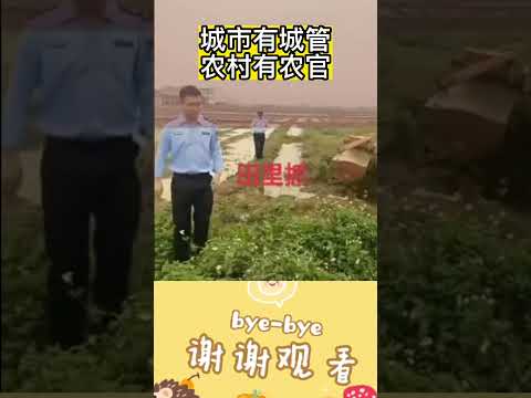 城市有城管，农村有农管，#中国 #中国经济 #中国富豪 #城管## 内容过于真实