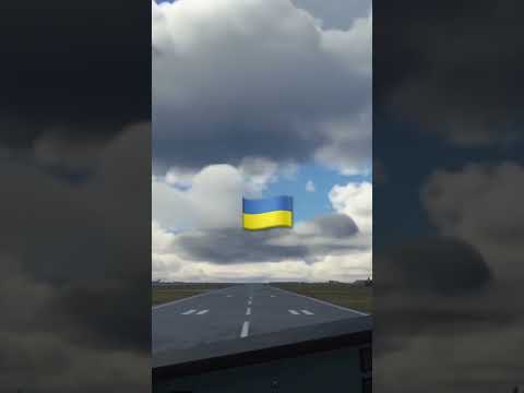 Airbus A320neo Cockpit Landing Kyiv