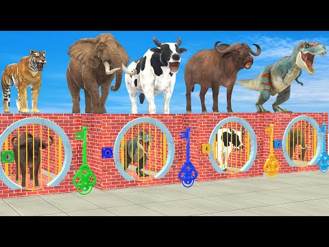 Don't Choose The Wrong Key With Elephant, Cow, Tiger Gorilla Buffalo Escape Room Challenge Cage Game