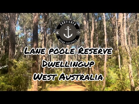 LANE POOLE RESERVE DWELLINGUP WEST AUSTRALIA (School holidays 10/2023)