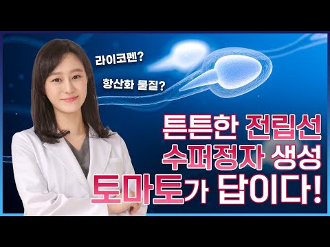 튼튼한 전립선, 수퍼정자 생성, 토마토가 답이다!