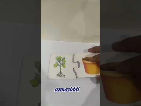 Fine Motor skills #viralshort #likevideo #foryou #utubeshorts #shortvideo #ot