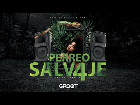 Mix Perreo Salvaje #4 - OldSchool🔥 Mix Reggaeton Antiguo | DJGROOT@EdwinAliaga