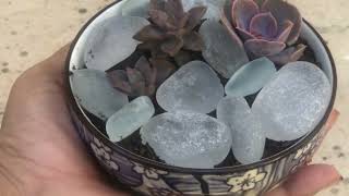 Random DIY Fun: Succulents, Seaglass, and Bowl Planters