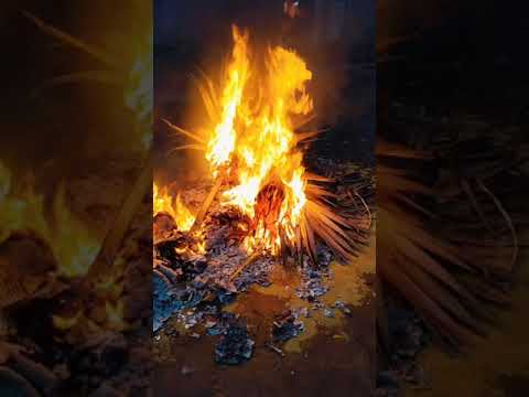 భోగి శుభకాంక్షలు...#భోగి #bhogi #trendingshorts #sankranthi #bhogipongal #bhogivlog #bhogi2025