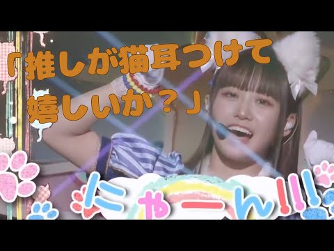 【字幕付き】ネコ耳文化に素直に疑問を呈する楠木ともり【楠木ともりのこと。第2回切り抜き】