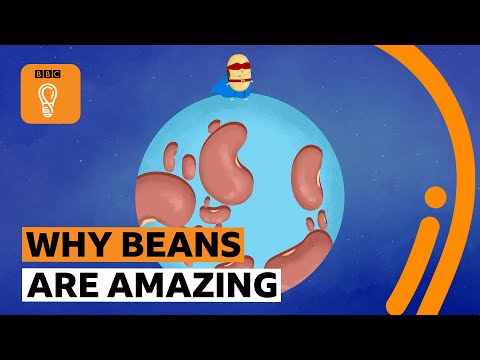 How the humble bean can help the world | BBC Ideas