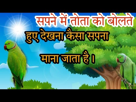 सपने में तोता को बोलते हुए देखना कैसा सपना माना जाता है।#ज्योतिषशास्त्र #jyotishmind #astrology.