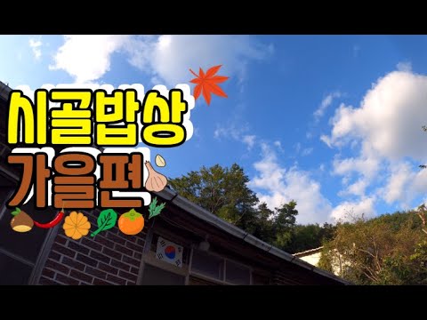 #67 [귀촌 브이로그] 밥맛 살려줄 가을 시골밥상