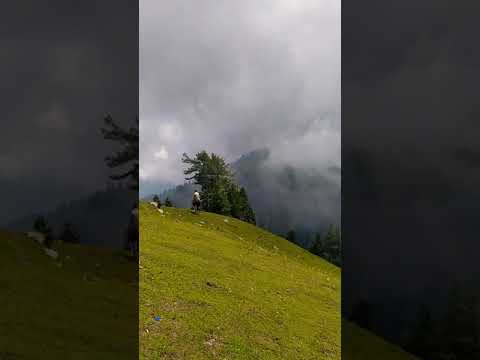 Mashallah Siri Paye Meadows Shogran