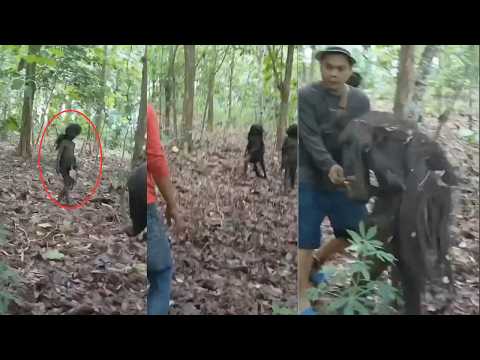 Most UNSETTLING Trail Cam Footage Caught on Camera