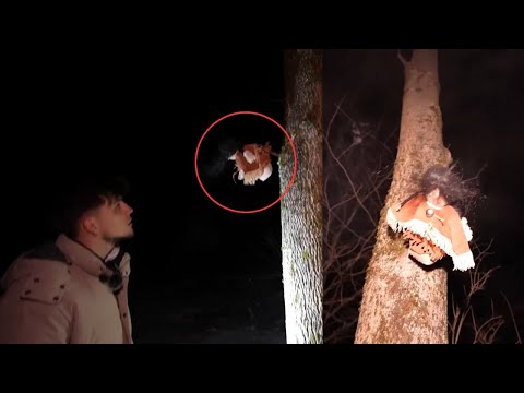 Most DISTURBING Camping Encounters Caught on Camera Vol.8