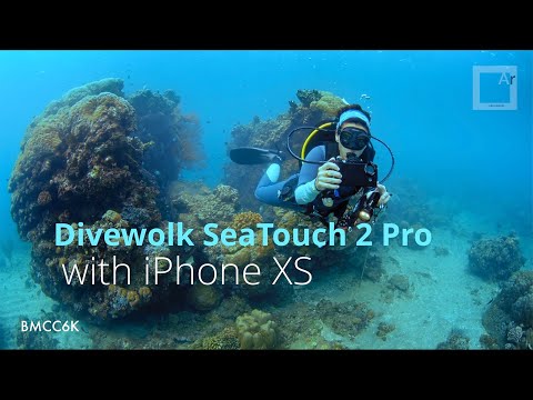 Iphone XS underwater testing in Indonesia - beautiful corals and fish schools