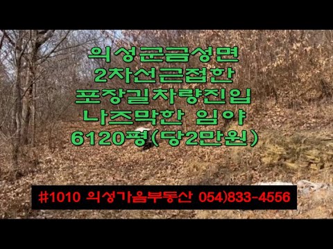 #1010 의성가음부동산 야산 임야 의성군 금성면 2차선근처 포장길 차량진입0 해발150M 임야 6120평 1.2억 (당2만) 전기0 확트인 남향 문중묘터적합 #의성군땅#의성임야