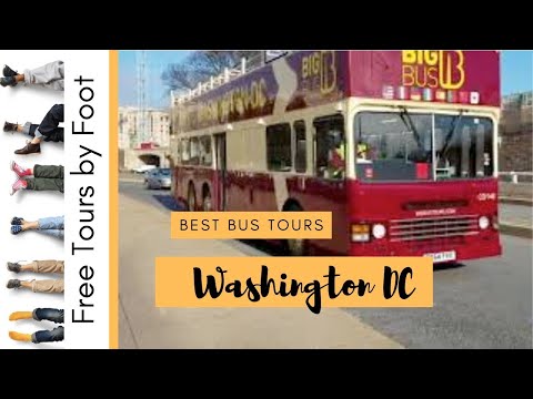 Best Bus Tours in DC |  DC Bus Tours Reviews