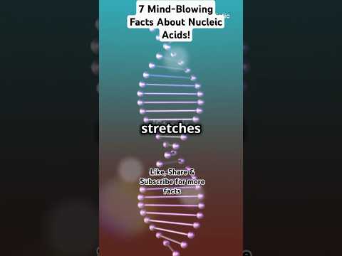 7 Mind-Blowing Facts About Nucleic Acids! #ytshorts #facts #dna #science #educationalshorts #shortyz