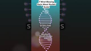 7 Mind-Blowing Facts About Nucleic Acids! #ytshorts #facts #dna #science #educationalshorts #shortyz