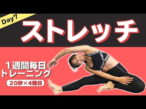 【毎日5分】痩せるストレッチで全身を細くする日曜！朝や寝る前に体を柔らかくする【ライザップ1週間追い込みトレーニング】