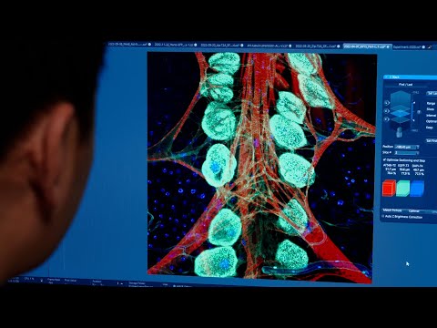 How Does the COVID Virus Make You Sick? It's All About the Proteins