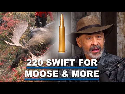 Eps 402: 220 Swift for Big Game, Does Bullet Energy Kill?  280AI Rifles and more!