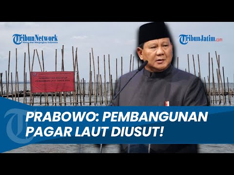 Turun Tangan! Prabowo Perintahkan Cabut Pagar Laut Misterius di Tangerang: Pembangunannya Diusut!