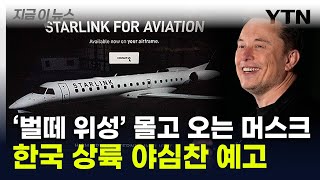 저가항공 와이파이 노린다...머스크 '스타링크' 한국 출시 초읽기 [지금이뉴스] / YTN