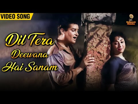 Dil Tera Deewana Hai Sanam | Shammi Kapoor, Mala Sinha | Mohammed Rafi | Popular Romantic Song