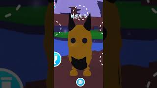 W/F/l idk can u tell me #roblox #adoptme #gifts  #adoptmeroblox  #games    #adoptmepets