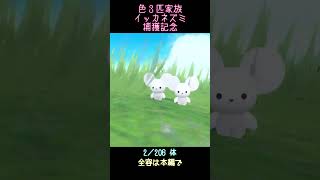 【ポケモンSV】色3匹家族イッカネズミ #shorts