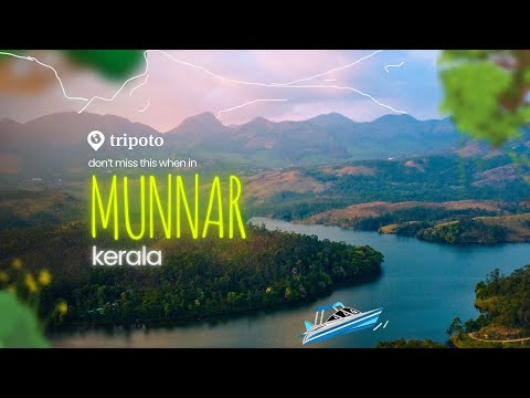 Munnar: Where Clouds Meet Tea Dreams!