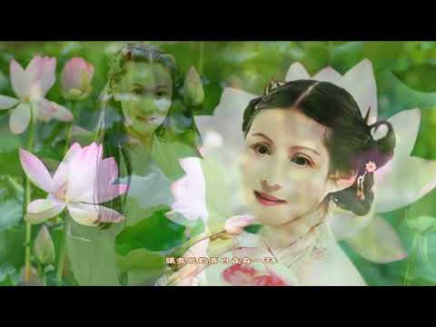 妙音禅乐《我是佛前一朵青莲-I am a green lotus in front of Buddha》Solo Ling Ling