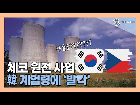 비상계엄 사태에 난리 난 '24조원 두코바니 원전' 체코…한수원 "차질 無"