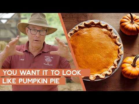 What does a healthy cow-pie look like? | Joel Salatin