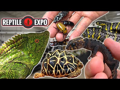 I GOT A MINI DRAGON at the TORONTO REPTILE/PLANT EXPO! COOLEST REPTILES + EPIC SHOW!