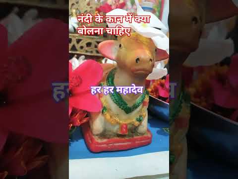 नंदी के कानों में क्या बोलना चाहिए । #motivation #god_facts #astrology #spritual_facts #short_video