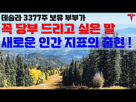 테슬라 투자에 대한 확신과 이건 별개 입니다!